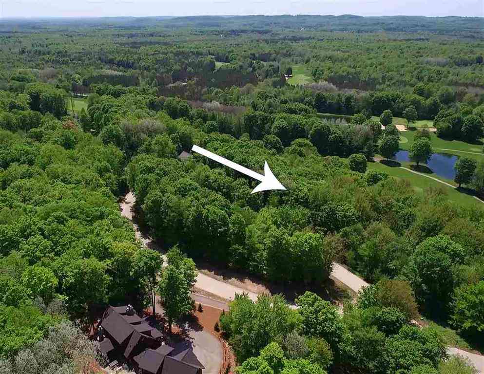 Vacant Land For Sale - 000-UNIT 33 Mountainwoods Drive <br/> Thompsonville, MI 49683