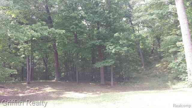 Vacant Land For Sale - VL Schafer Road <br/> Livingston County, Howell, MI 48843