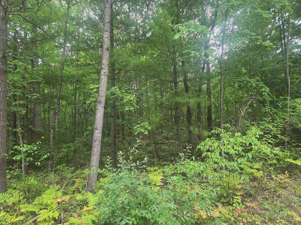Vacant Land For Sale - TBD 45th Avenue <br/> Barryton, MI 49305