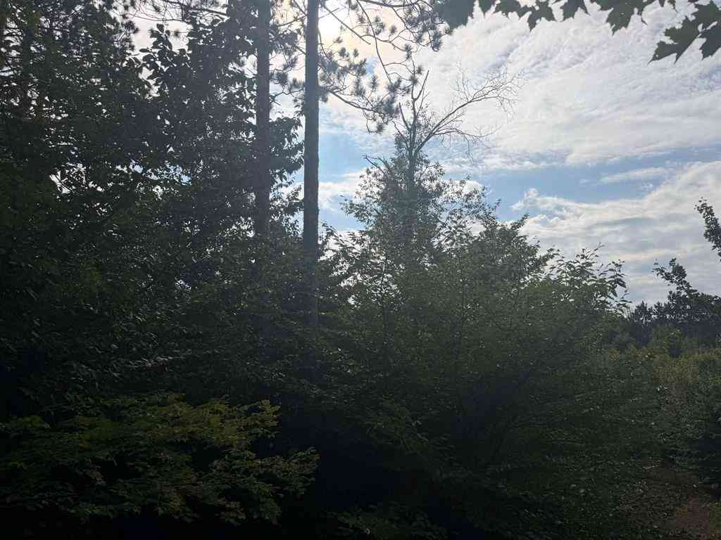 Vacant Land For Sale - 0000 King Road <br/> Benzonia, MI 49616