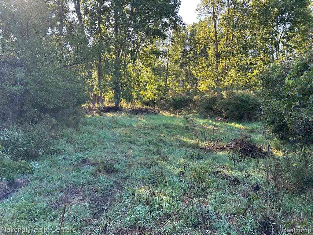 Vacant Land For Sale - 0000 Austin Farms Parcel D  <br/> Ortonville, MI 48462