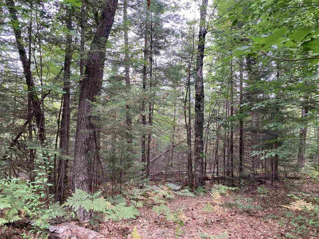 Vacant Land For Sale - V/L Wiltse Road <br/> Ogemaw County, Lupton, MI 48635