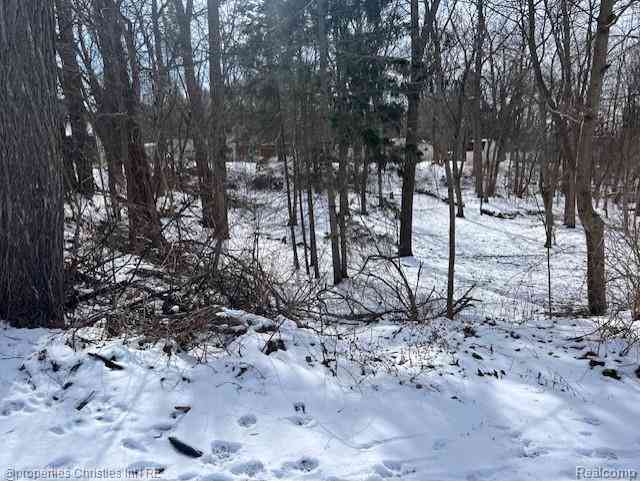 Vacant Land For Sale - 439 Alberta Street Lot 81  <br/> Oakland County, Auburn Hills, MI 48326