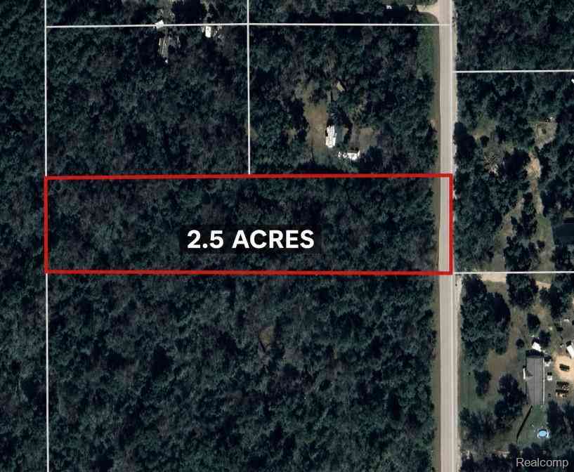 Vacant Land For Sale - V/L King Hwy  <br/> Luther, MI 49656