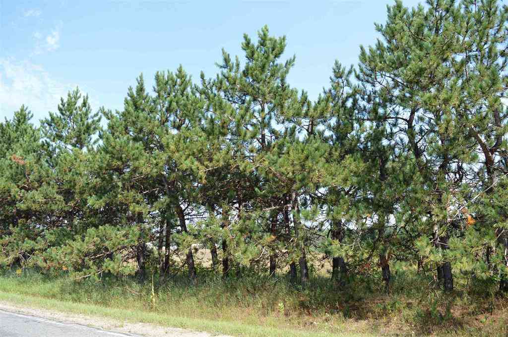 Vacant Land For Sale - Coster Road <br/> Kalkaska County, Fife Lake, MI 49633