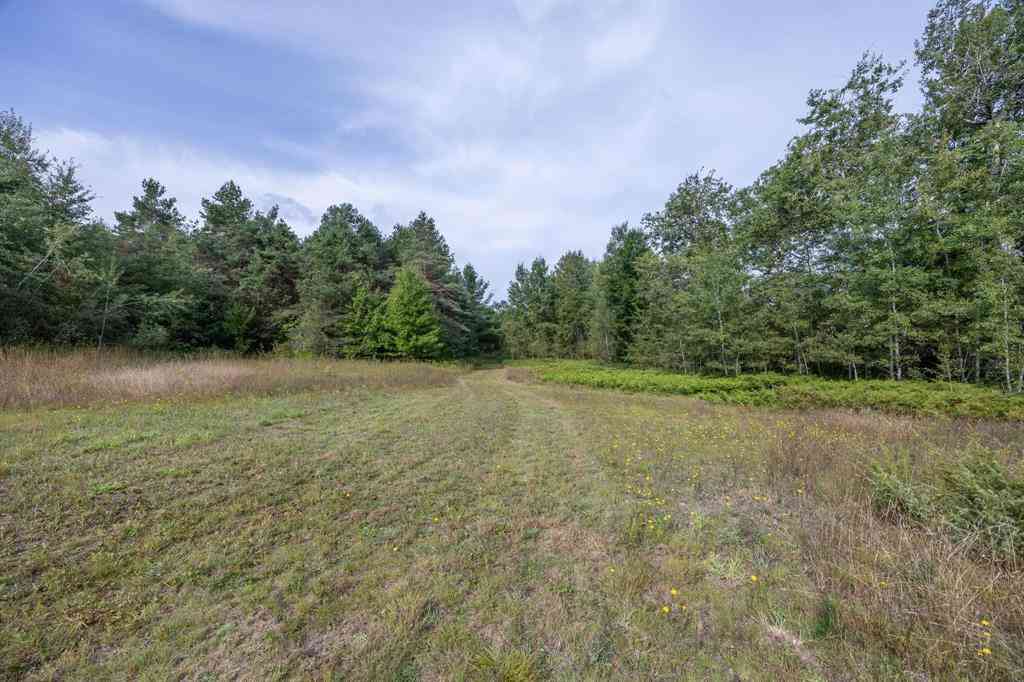 Vacant Land For Sale - S 27 Road <br/> Cadillac, MI 49601