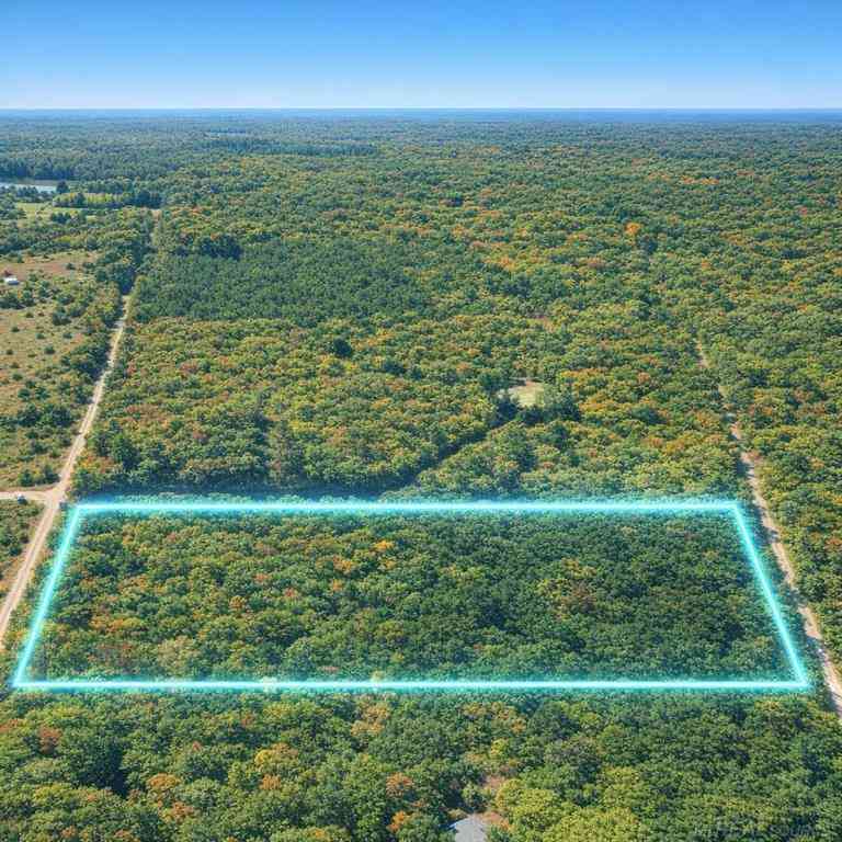 Vacant Land For Sale - TBD Merrimac Road <br/> Antrim County, Mancelona, MI 49659