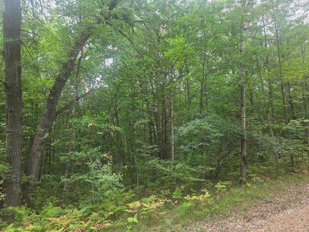 Vacant Land For Sale - 7873 Wild Oaks Drive <br/> Isabella County, Weidman, MI 48893