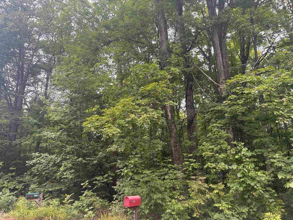 Vacant Land For Sale - S Hemlock Road <br/> Cedar, MI 40621