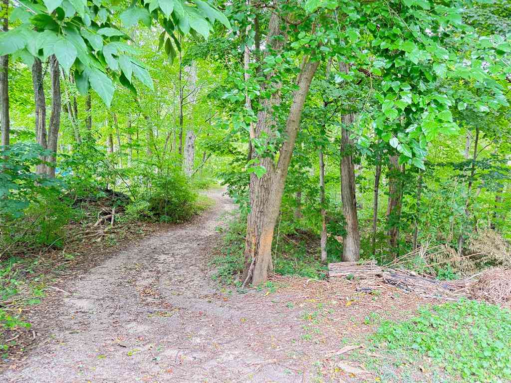 Vacant Land For Sale - 200 S Water Street <br/> Oceana County, Hart, MI 49420