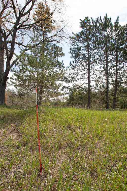 Vacant Land For Sale - 0002 M-66 Se  <br/> Kalkaska County, Fife Lake, MI 49633