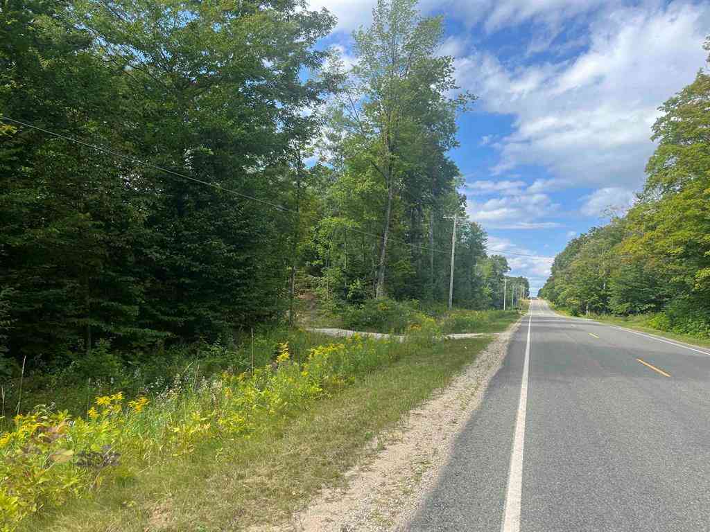 Vacant Land For Sale - 7 Mile Road <br/> Lake City, MI 49651