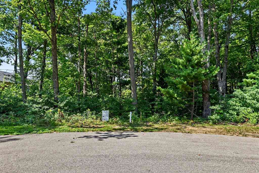 Vacant Land For Sale - 14672 Crest View Court <br/> South Haven, MI 49090