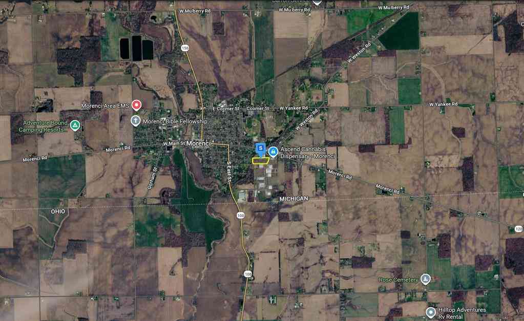 Vacant Land For Sale - 200 Hammontree Drive <br/> Morenci, MI 49256