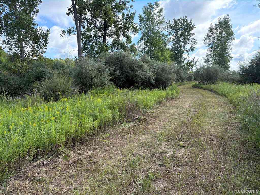 Vacant Land For Sale - V/L Edwards Road N N<br/> Tuscola County, Fostoria, MI 48435