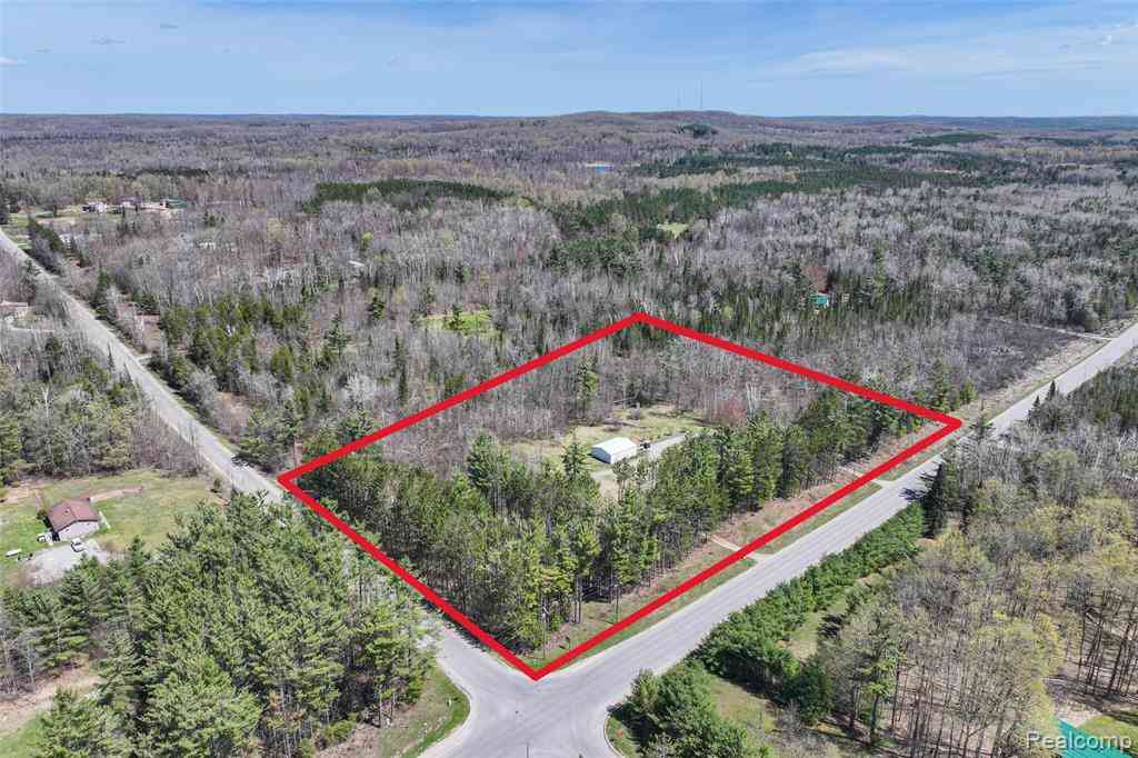 Vacant Land For Sale - 958 W Miller Road <br/> Mio, MI 48647