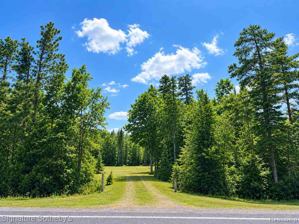 Vacant Land For Sale - 24364 Us-23  N N<br/> Ocqueoc, MI 49759
