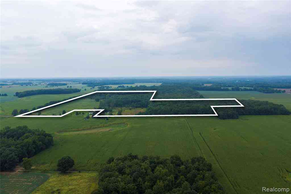 Vacant Land For Sale - 10580 Grover Road <br/> Reading, MI 49274
