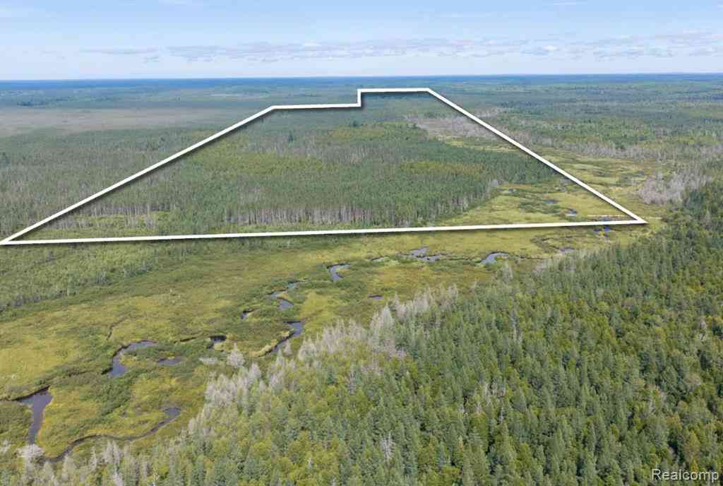 Vacant Land For Sale - 000 Camp 23 Rd  <br/> Germfask, MI 49836