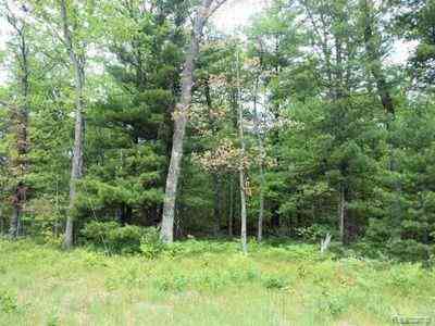 Vacant Land For Sale - 0000 E Website  <br/> Idlewild, MI 49642