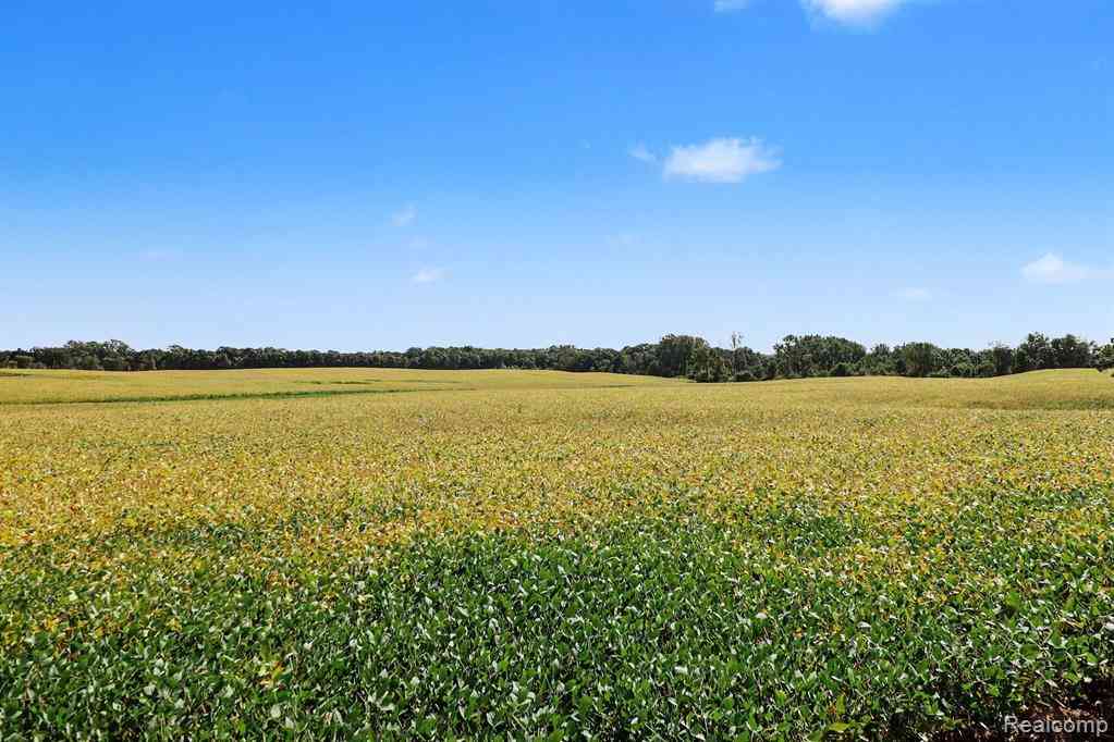 Vacant Land For Sale - PARCEL A N Hacker Road <br/> Howell, MI 48843