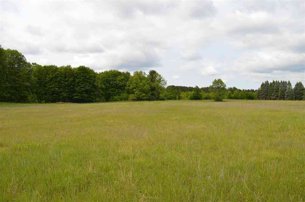 Vacant Land For Sale - N Summit City Road <br/> Kingsley, MI 49649