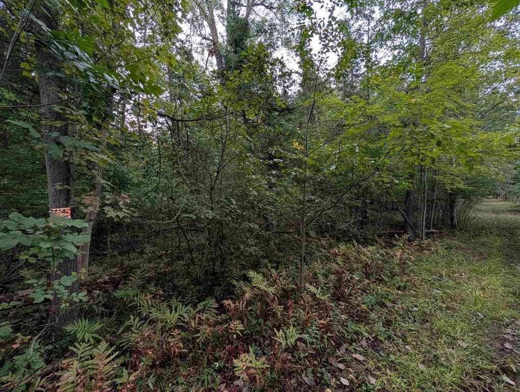 Vacant Land For Sale - N/A W Huron  <br/> Omer, MI 48749