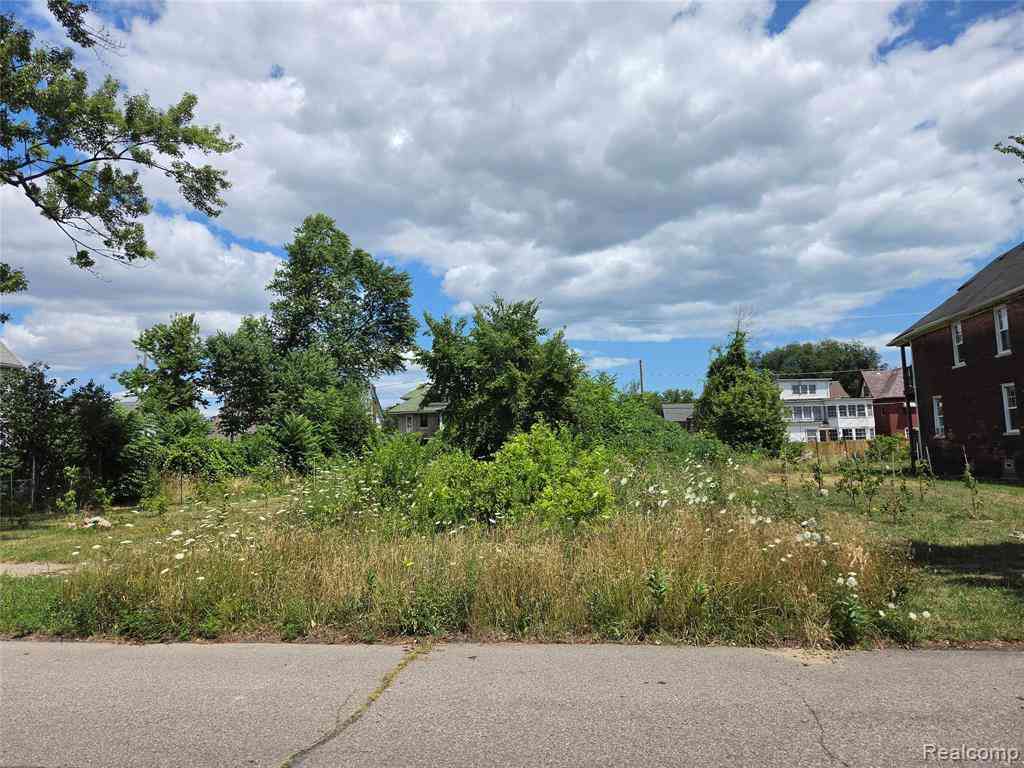 Vacant Land For Sale - 1736 Baldwin Street <br/> Detroit, MI 48214