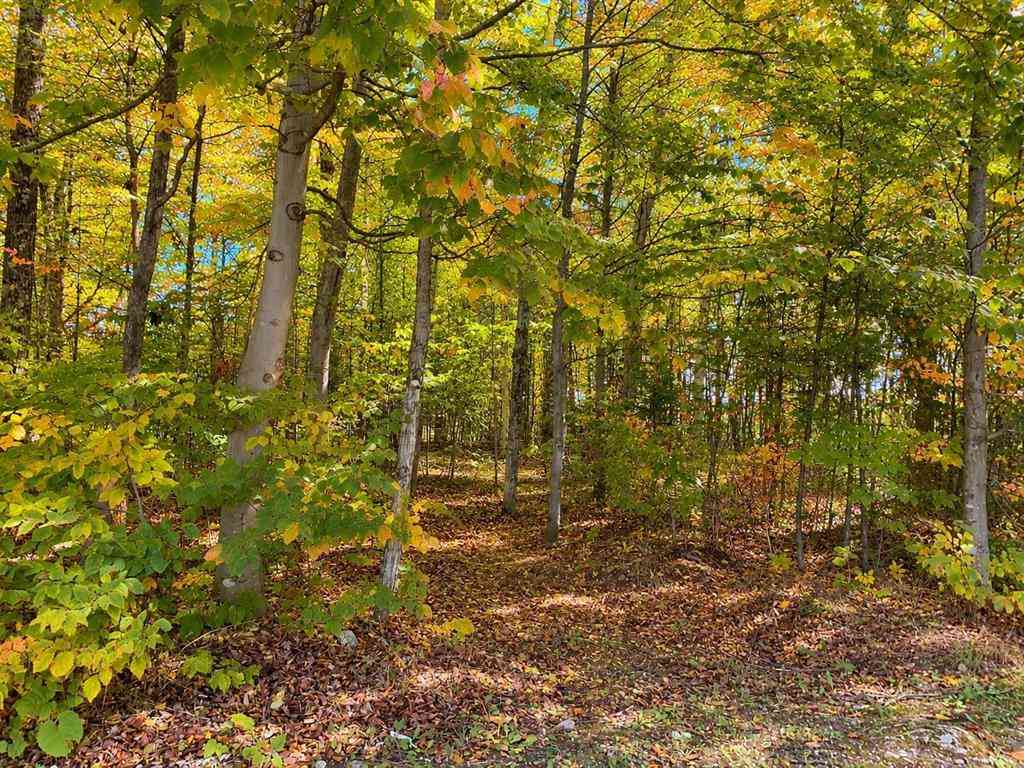 Vacant Land For Sale - 3930 Spruceview Lane <br/> Mackinac Island, MI 49797