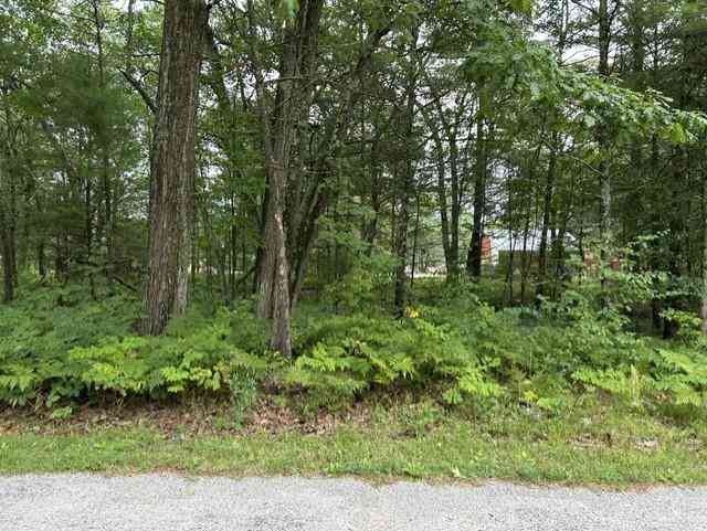 Vacant Land For Sale - 00 Wintergreen Street <br/> East Tawas, MI 48730