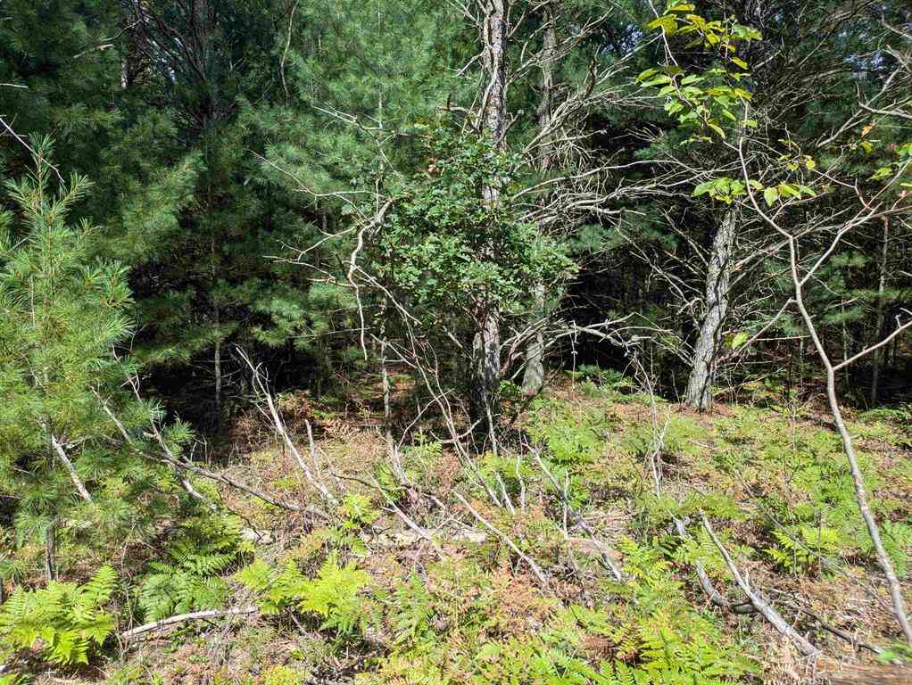 Vacant Land For Sale - N Forest Lake Drive <br/> Alger, MI 48610