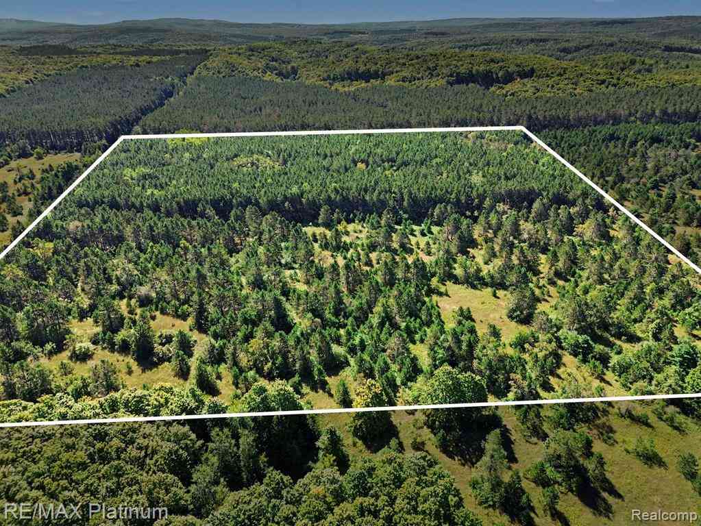 Vacant Land For Sale - V/L Black Berry Trail  <br/> Emmet County, Pellston, MI 49769