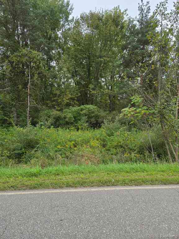 Vacant Land For Sale - V/L Shay Lake Rd  <br/> Tuscola County, Silverwood, MI 48219