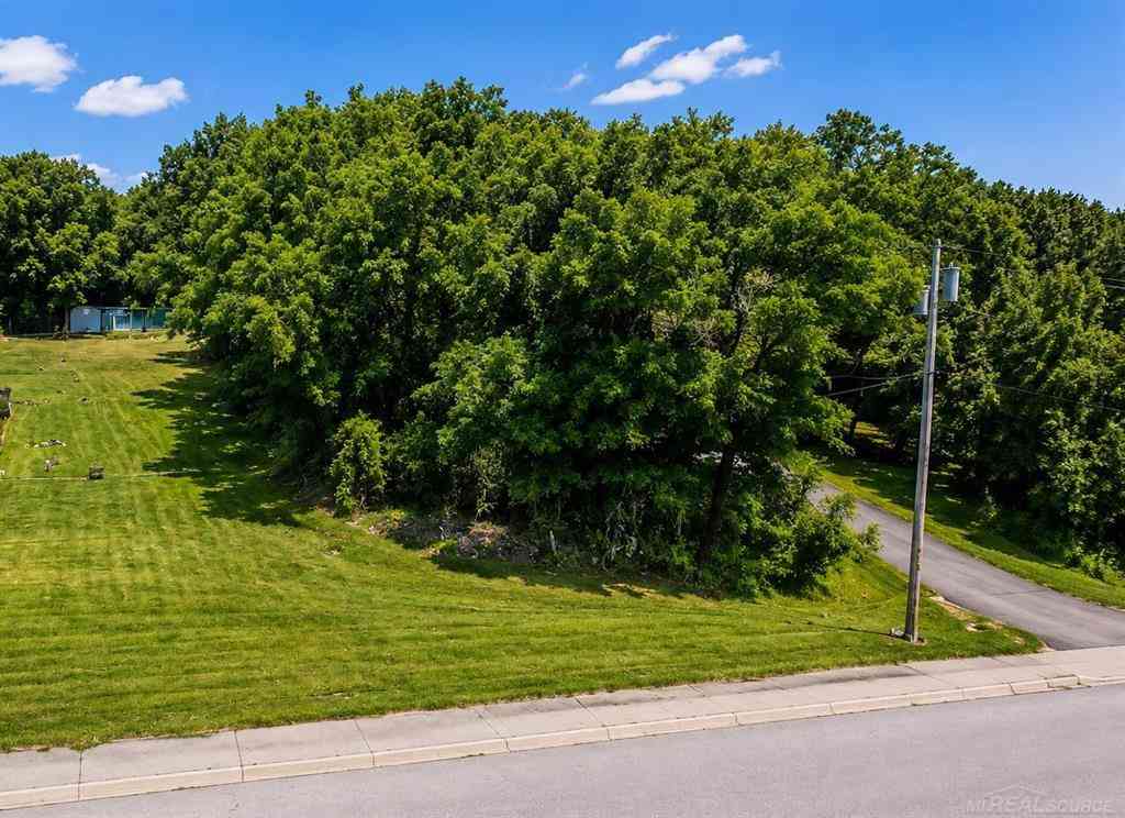 Vacant Land For Sale - 00 Hickey Road <br/> New Baltimore, MI 48051