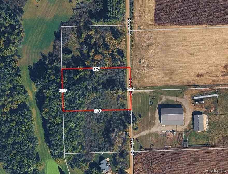 Vacant Land For Sale - PARCEL B Kelch Road <br/> Mayville, MI 48744