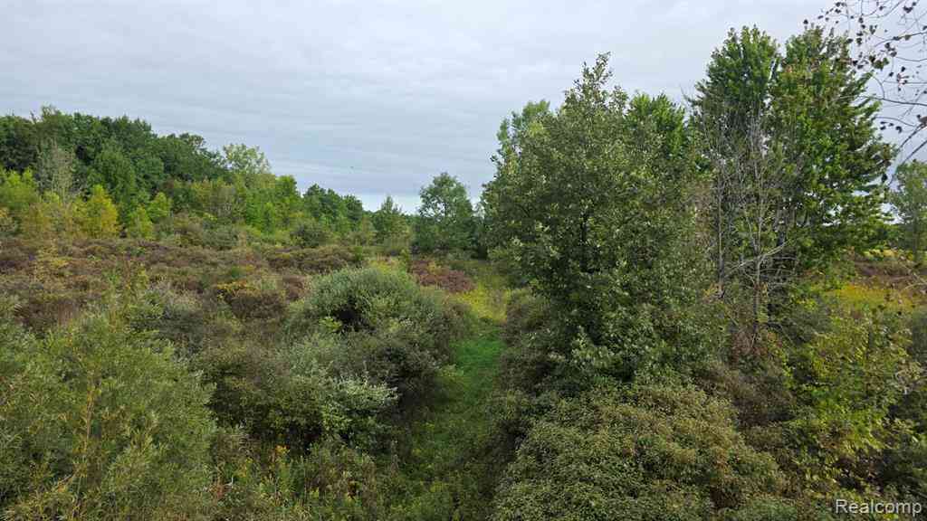 Vacant Land For Sale - 00 Barnes  <br/> Lapeer County, North Branch, MI 48461