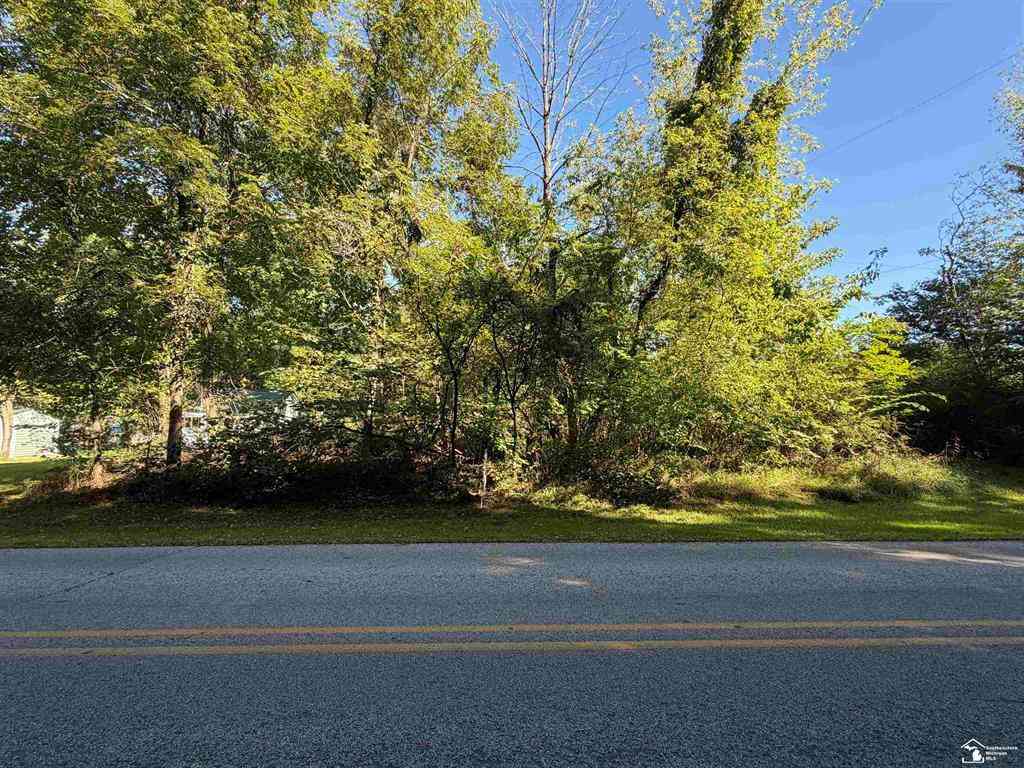 Vacant Land For Sale - 14000 Sandy Beach Road <br/> Manitou Beach, MI 46018
