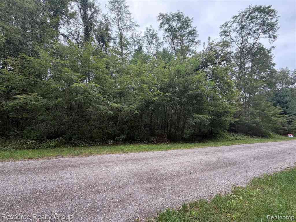 Vacant Land For Sale - 0. Colangelo Ln.  <br/> Hamburg, MI 48189