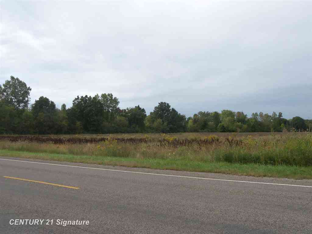 Vacant Land For Sale - V/L W Coldwater Road <br/> Flushing, MI 48433