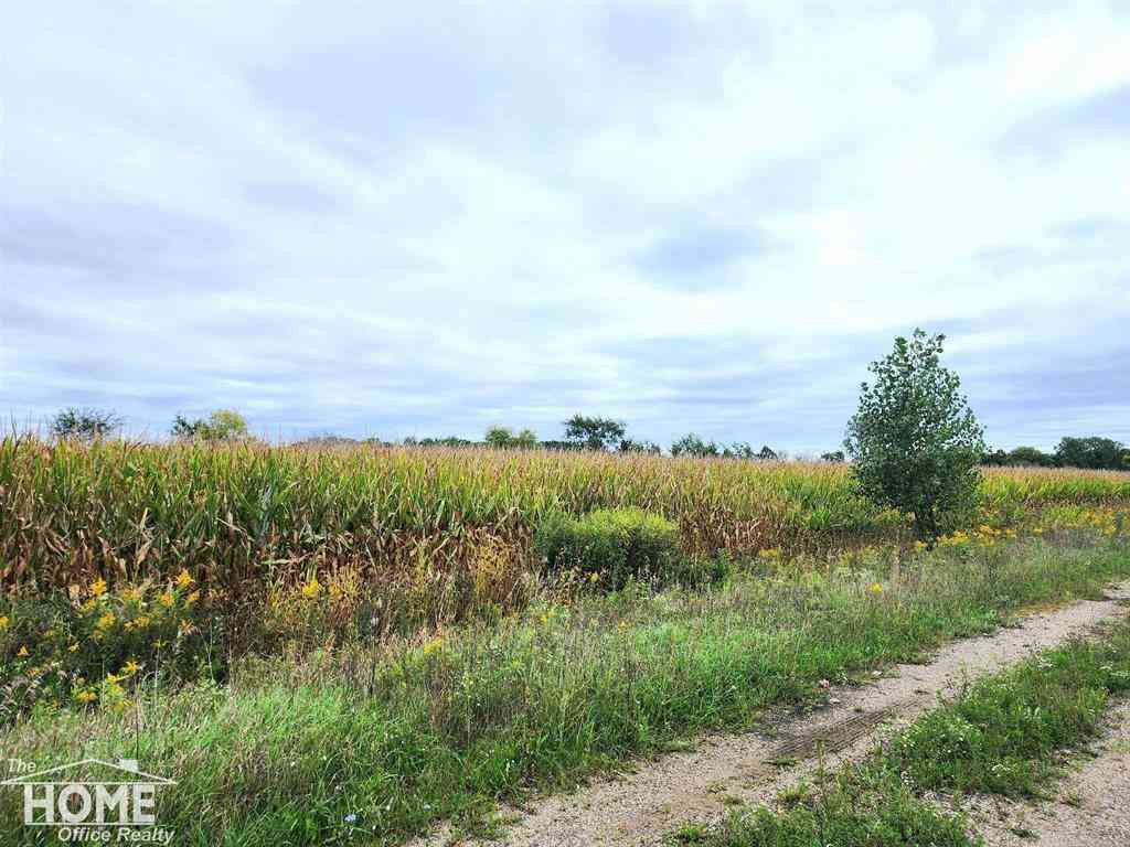 Vacant Land For Sale - VACANT E Wilkinson Road <br/> Owosso, MI 48867