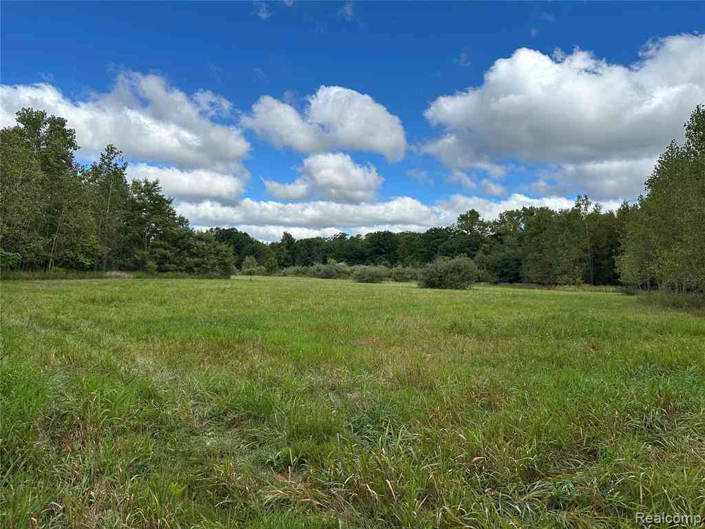 Vacant Land For Sale - 01 Newark Rd  <br/> Attica, MI 48412