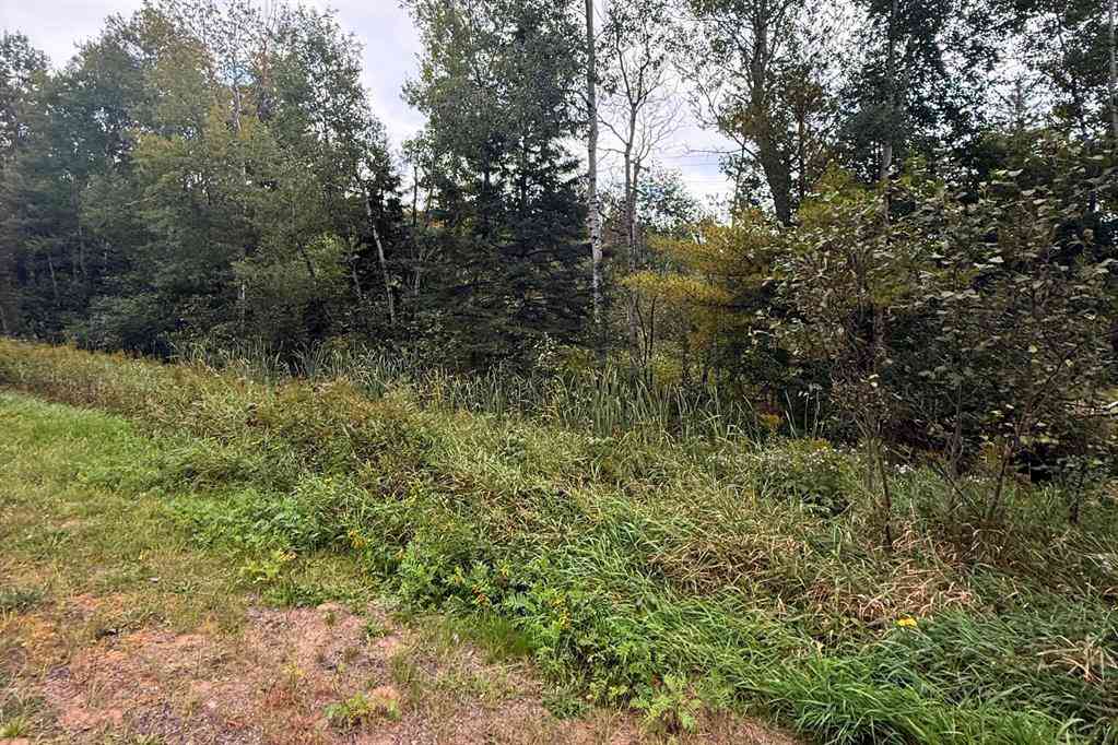 Vacant Land For Sale - 1059 Greenwood Street <br/> Ishpeming, MI 49849