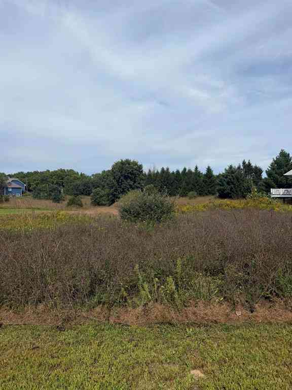 Vacant Land For Sale - 5465 Turkey Run Drive <br/> Kalamazoo, MI 49004