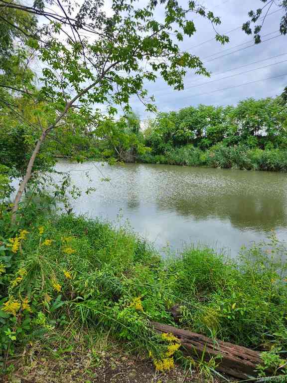 Vacant Land For Sale - 184 North Drive Sw SW<br/> Wayne County, Wyandotte, MI 48192