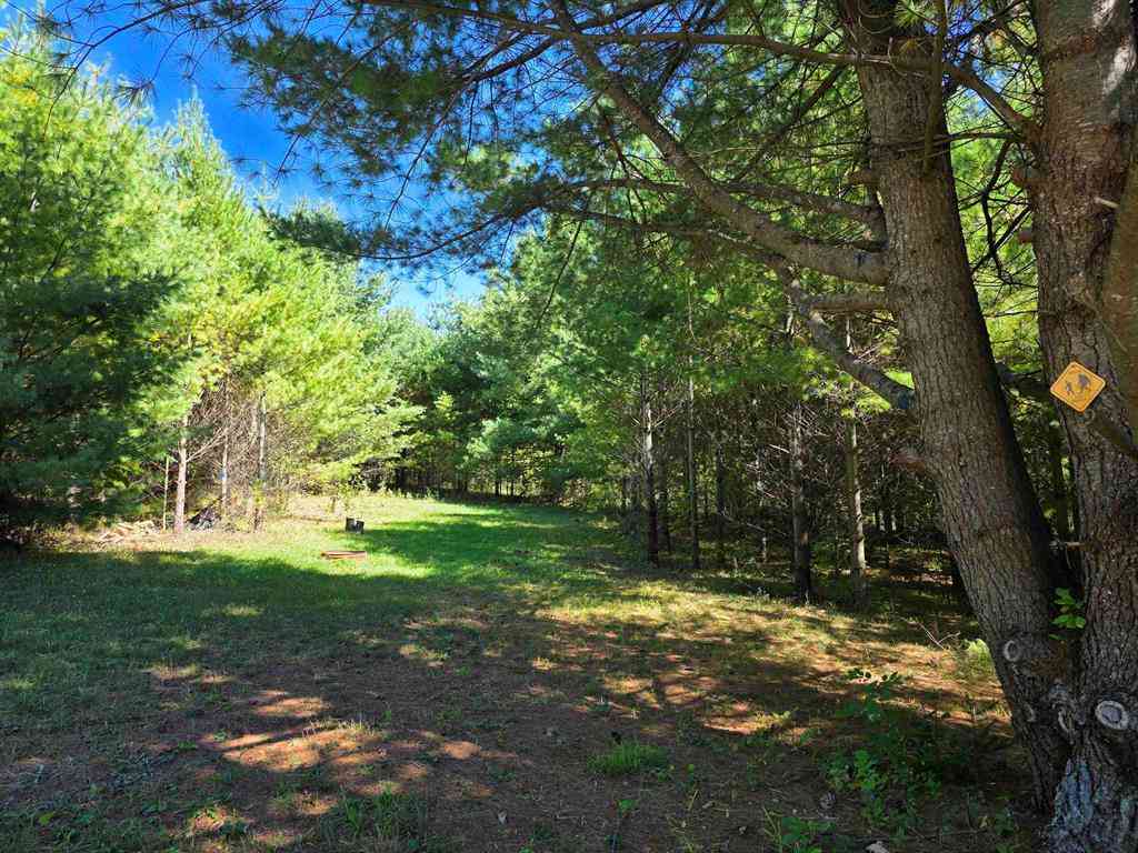 Vacant Land For Sale - 577 Birch  <br/> Alcona County, Mikado, MI 48745