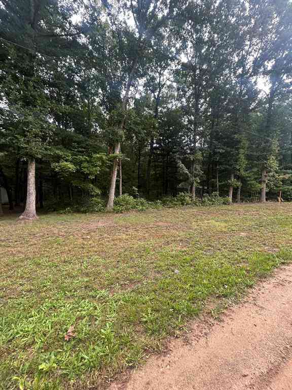 Vacant Land For Sale - LOT 20 Moore Road <br/> Allegan County, Allegan, MI 49010