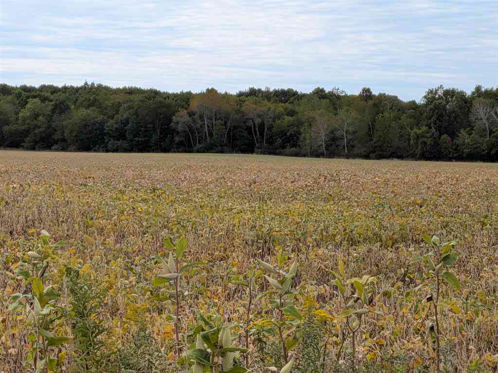 Vacant Land For Sale - 6571 W Saint Charles Road <br/> Gratiot County, Sumner, MI 48801