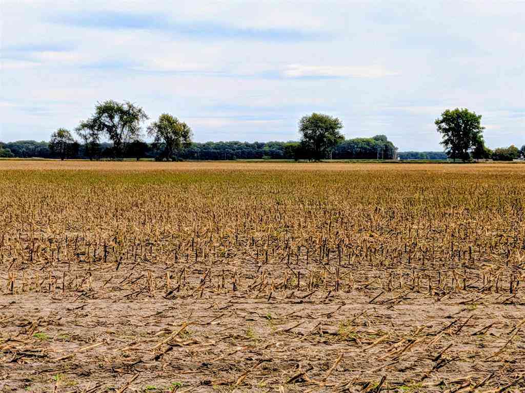 Vacant Land For Sale - 516 N Pingree Road <br/> Gratiot County, Sumner, MI 48801
