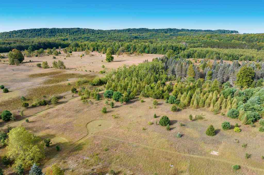 Vacant Land For Sale - Mallard  <br/> Thompsonville, MI 49683