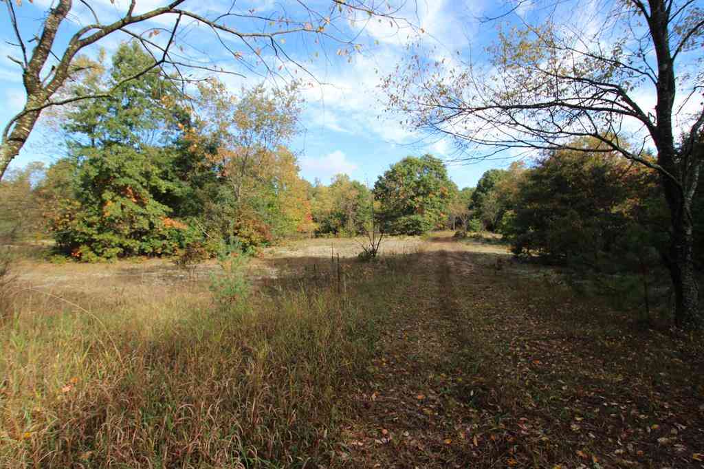 Vacant Land For Sale - River Ranch Road <br/> Hersey, MI 49639
